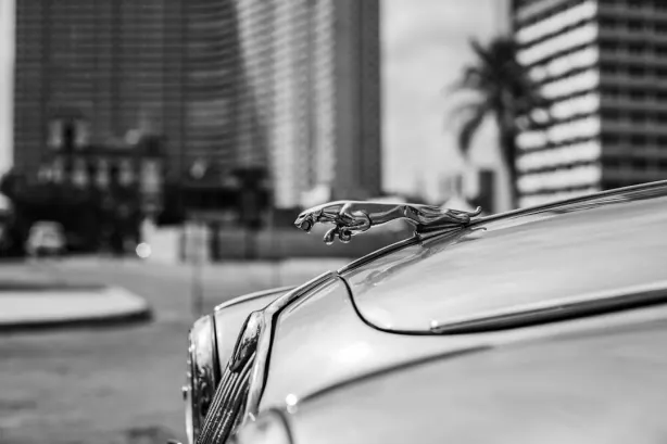 Betobet Kasino Android/iOS Sovellus